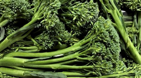 Tenderstem5