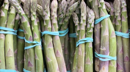 Yorks Asparagus 3