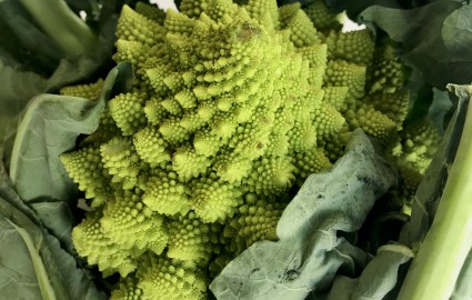 Romanesco