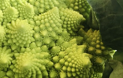 Romanesco2