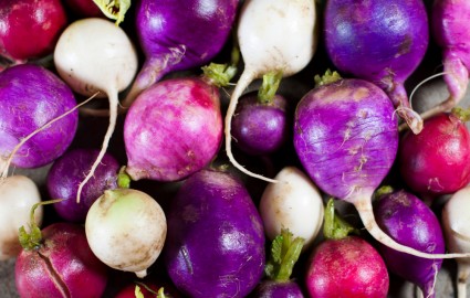 Shutterstock 1229271592