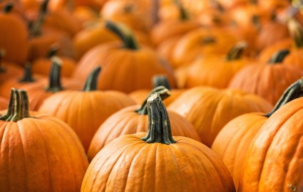 Shutterstock 155131223