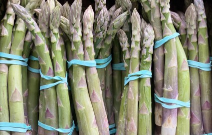 Yorks Asparagus 3